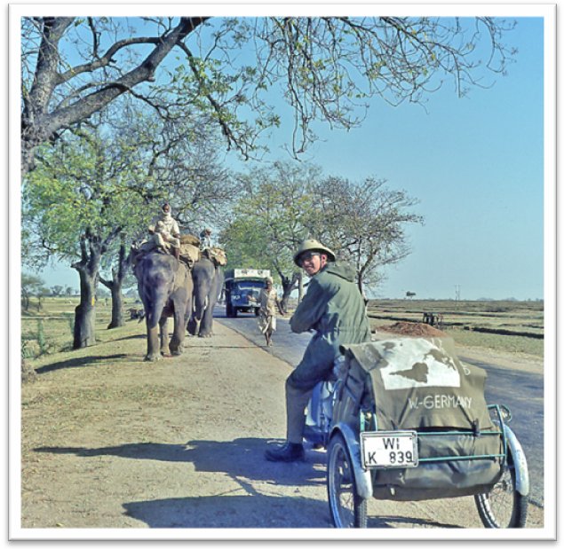 Moped vor Elefant, Titelfoto